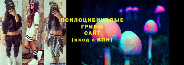 МДПВ Аркадак