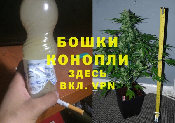 МДПВ Аркадак