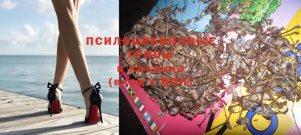 дмт Арсеньев