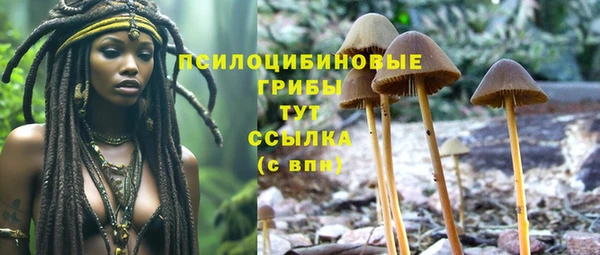 дмт Арсеньев