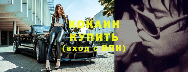 дмт Арсеньев