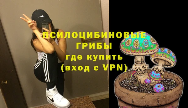МДПВ Аркадак